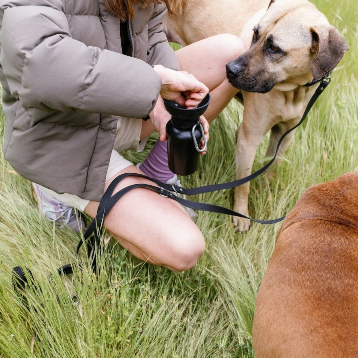 20oz Flip Dog Travel Water Bottle