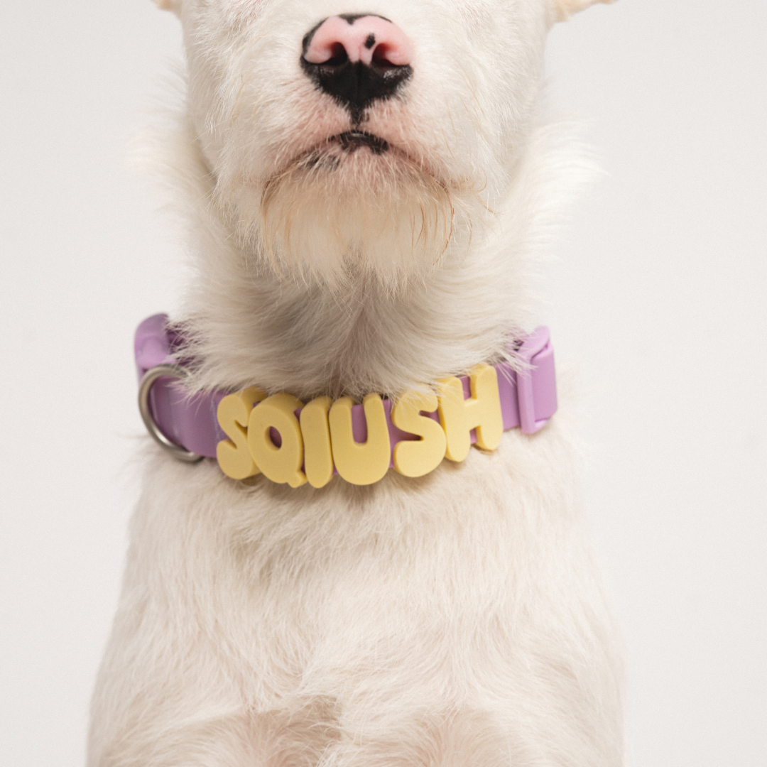 Waterproof Dog Collar