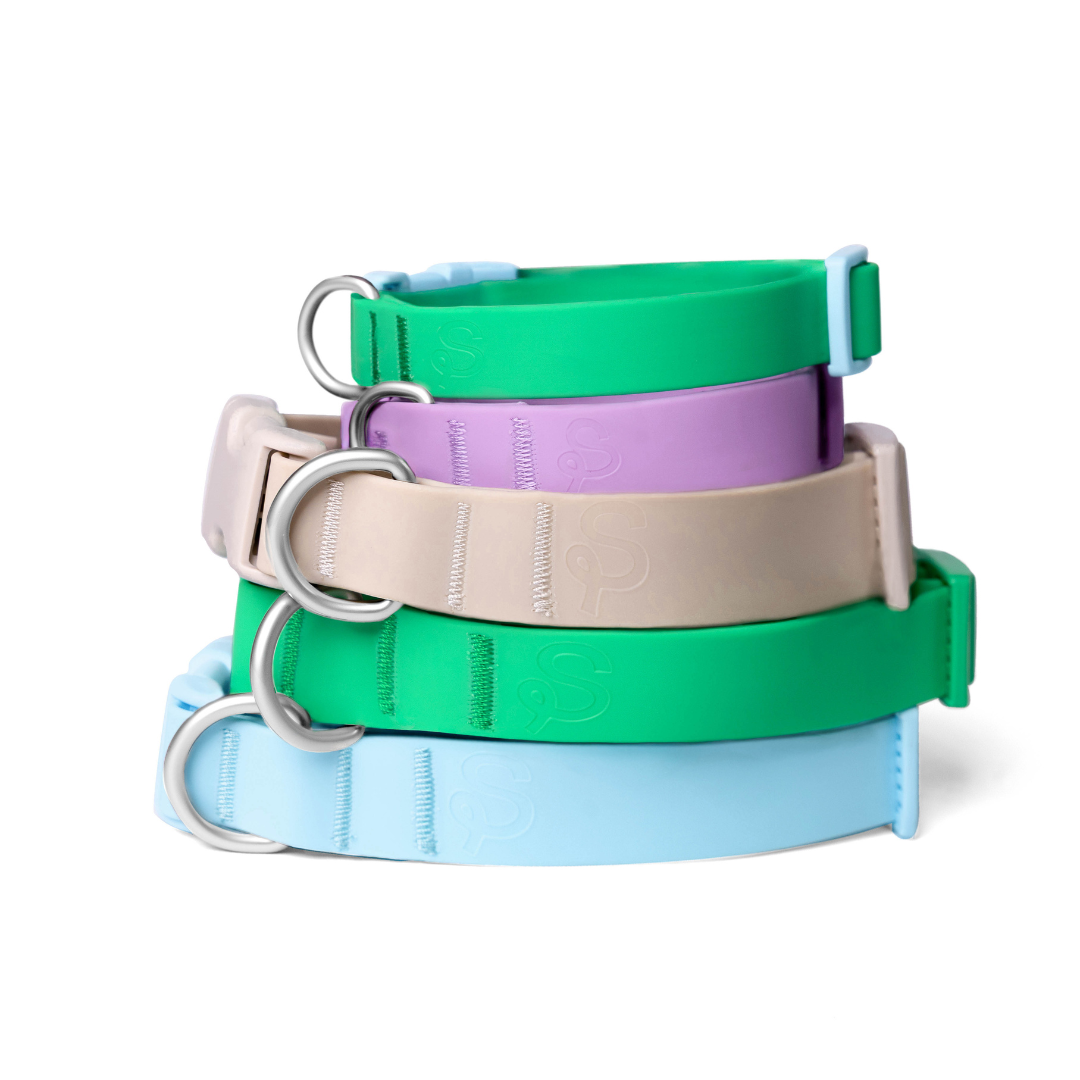 Waterproof Dog Collar