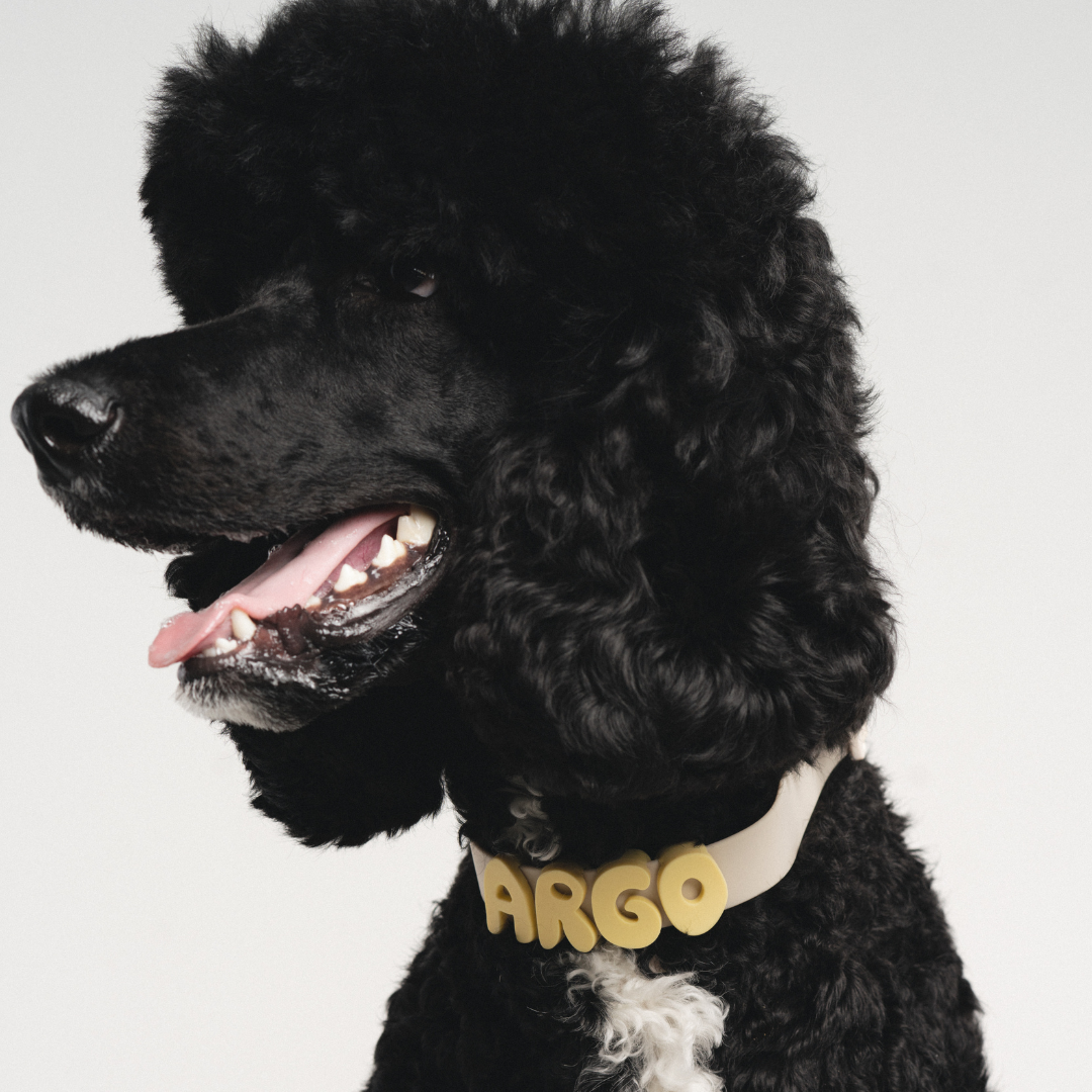 Waterproof Dog Collar