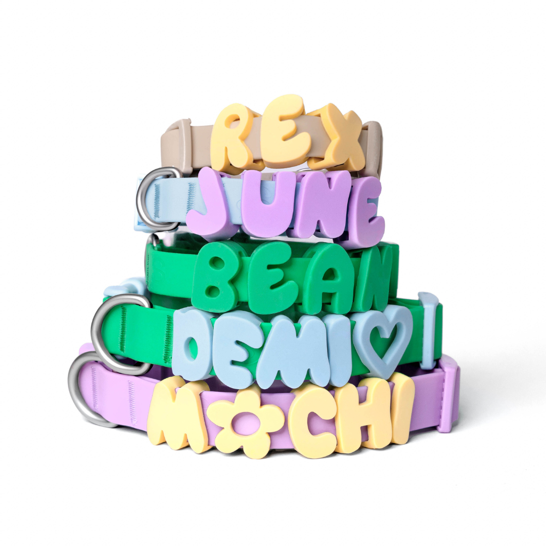 Waterproof Dog Collar