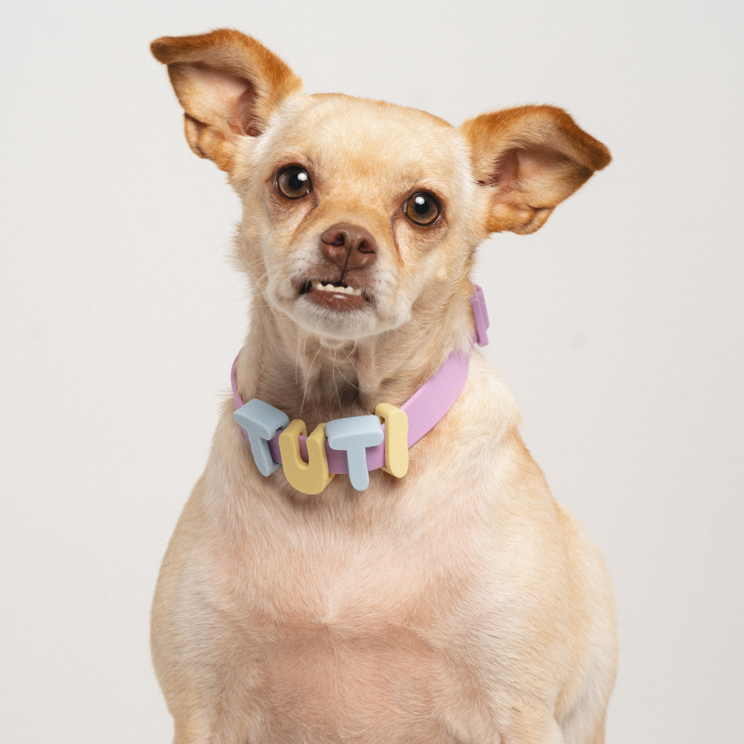 Waterproof Dog Collar