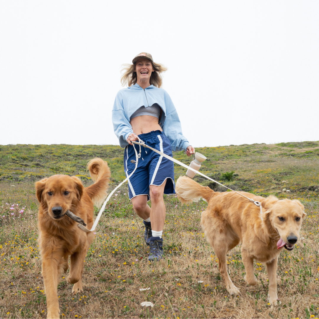 Waterproof Dog Leash - 5ft