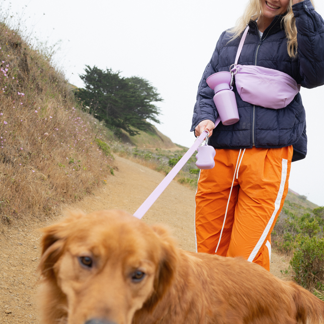 Hands-Free Dog Walking Bag with 3.25ft Leash