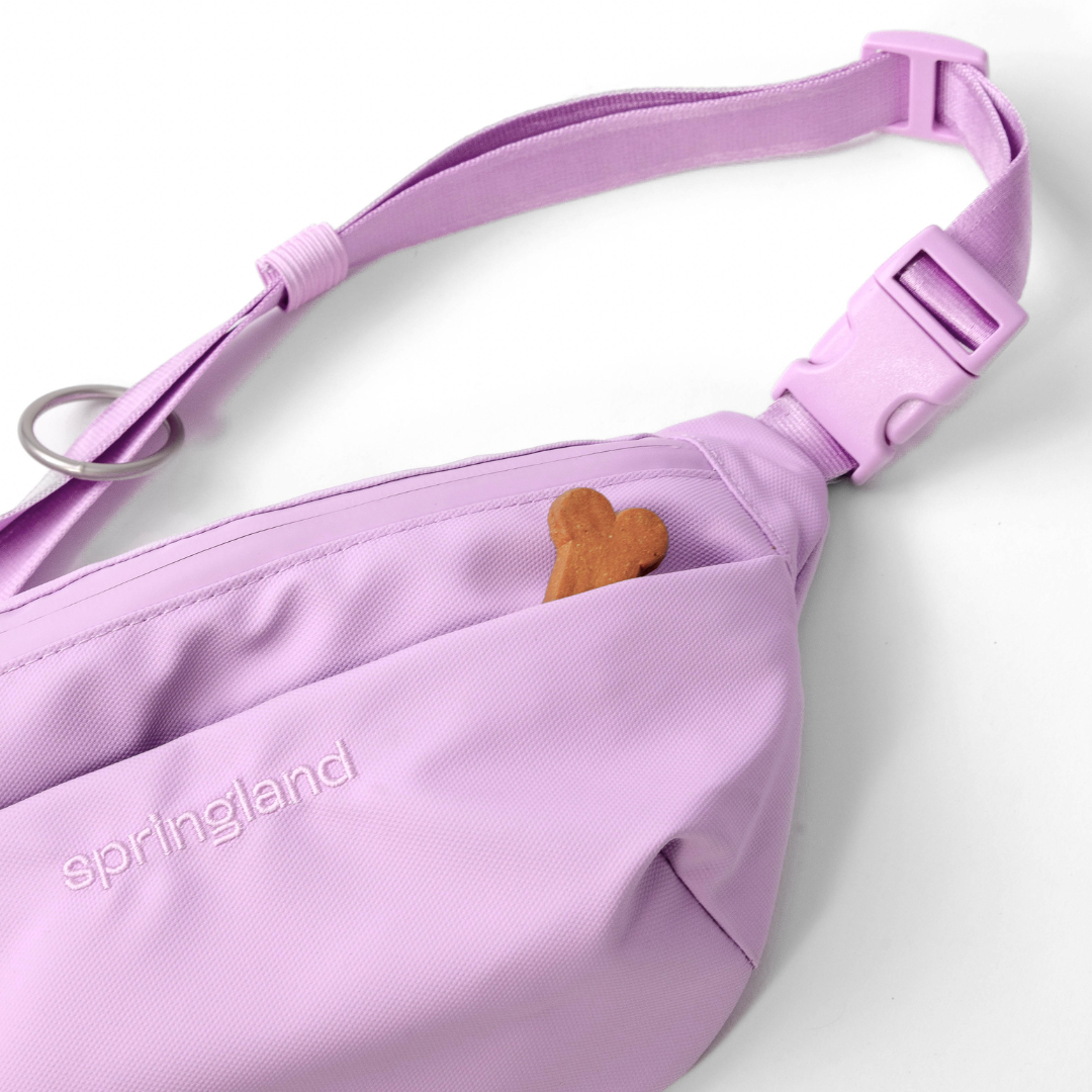 Hands-Free Dog Walking Bag with 3.25ft Leash