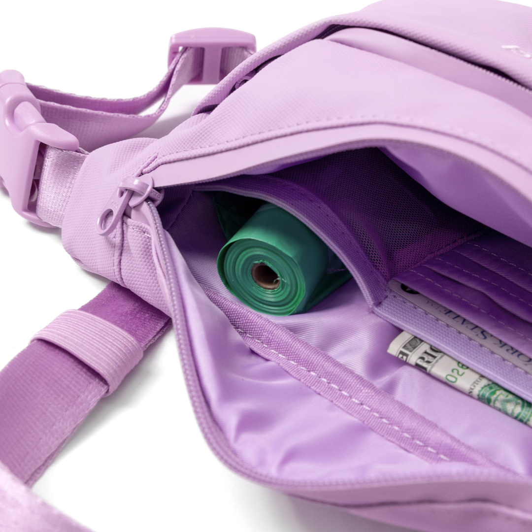 Hands-Free Dog Walking Bag