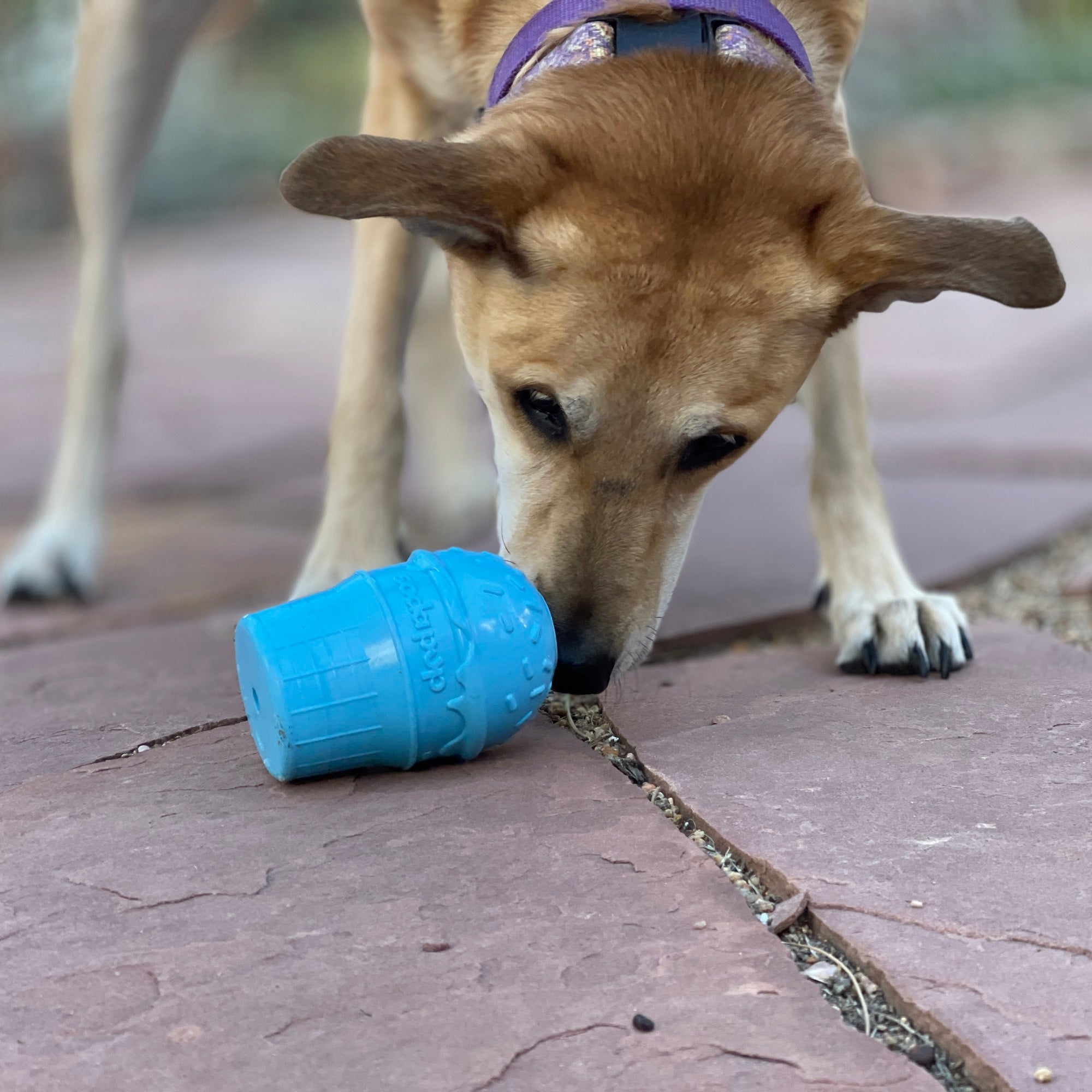 Ice Cream Cone Durable PUP-X Rubber eDispenser Chew Toy and Treat Dispenser
