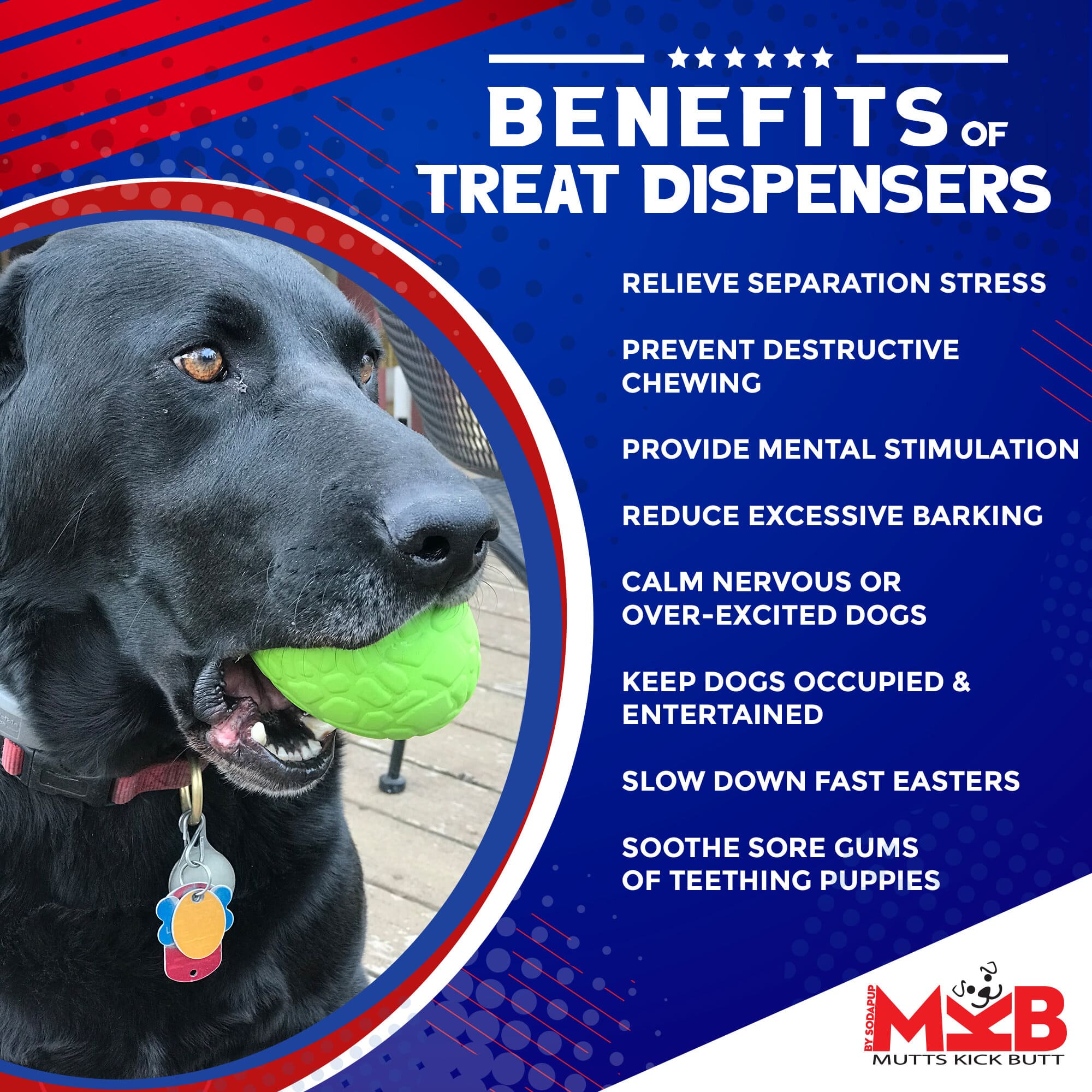 Dinosaur Egg Dog Chew Toy & Treat Dispenser - USA Made | SodaPup