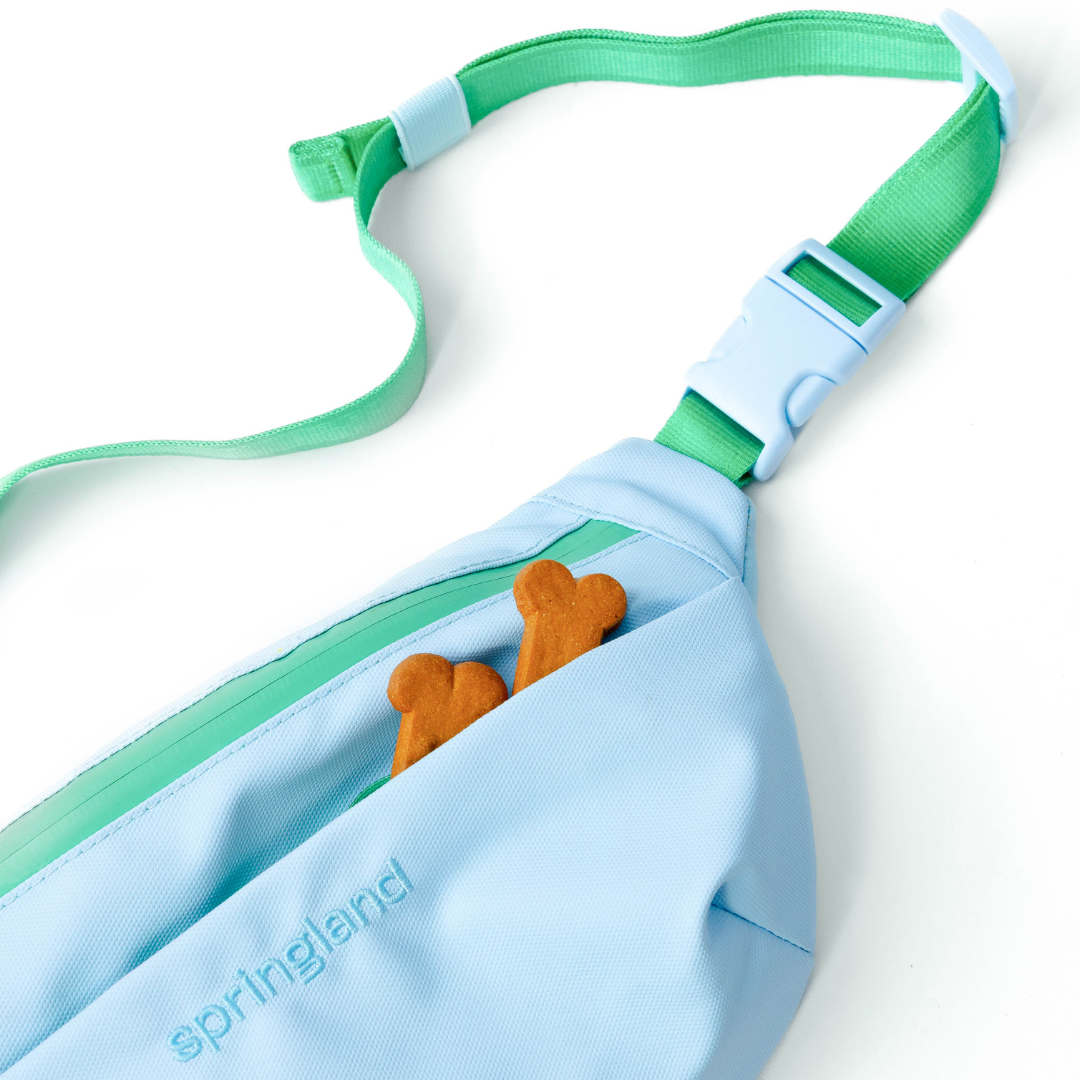 Hands-Free Dog Walking Bag with 3.25ft Leash