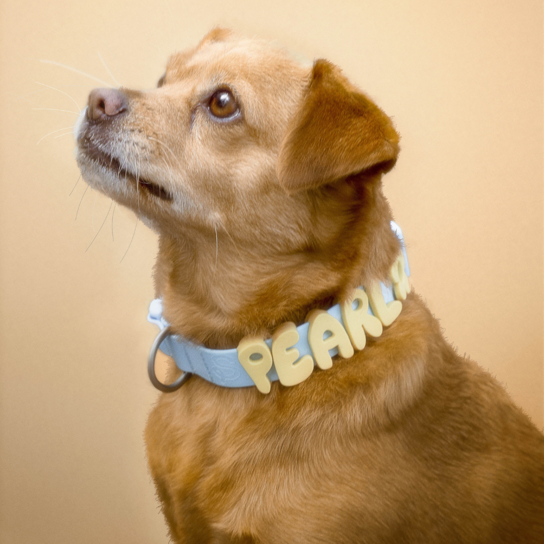 Waterproof Dog Collar