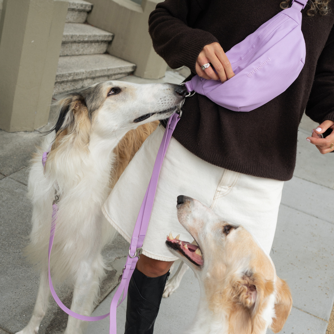 Hands-Free Dog Walking Bag with 3.25ft Leash