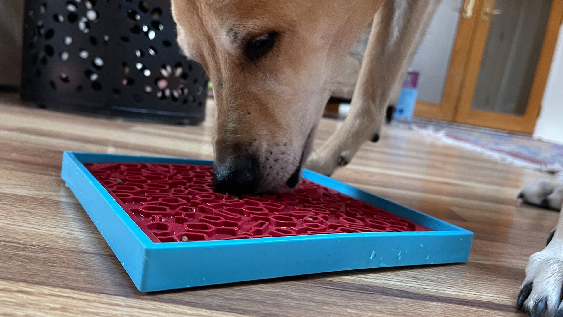 Vino Dog eMat - Enrichment Lick Mat For Dogs and Cats | Wine-Inspired Design| SodaPup