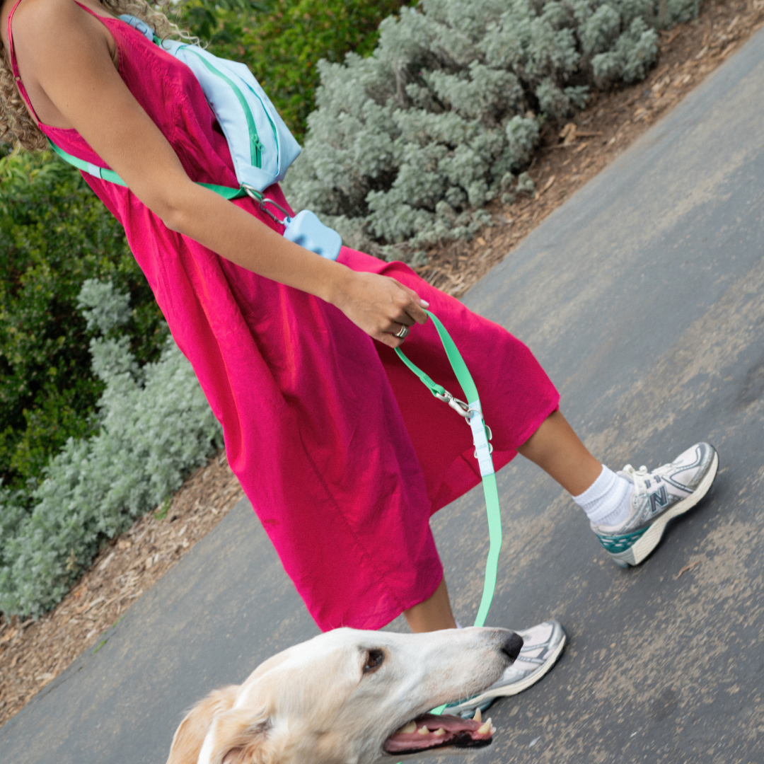 Hands-Free Dog Walking Bag