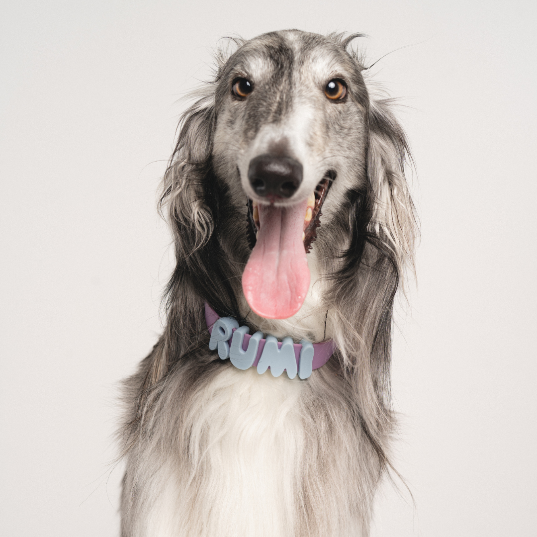 Waterproof Dog Collar