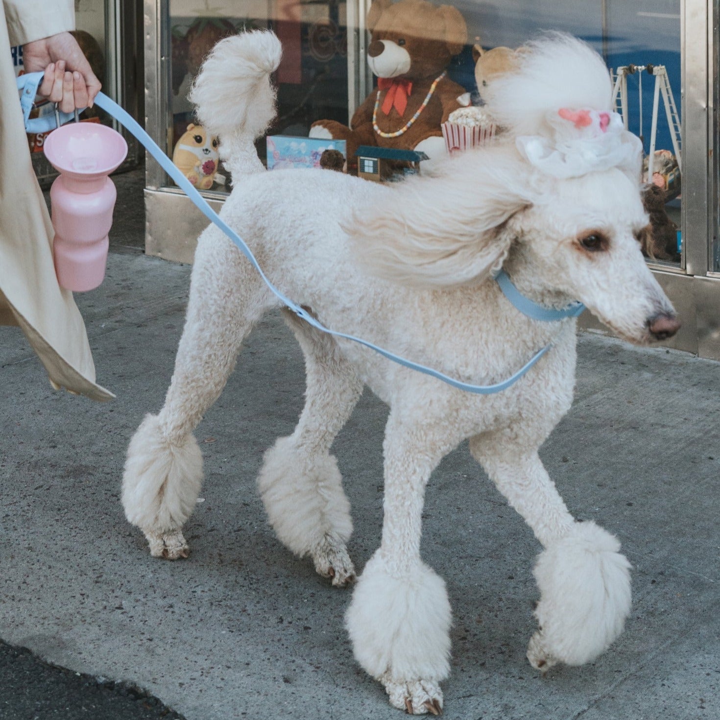 Original Dog Leash with Neoprene Handle