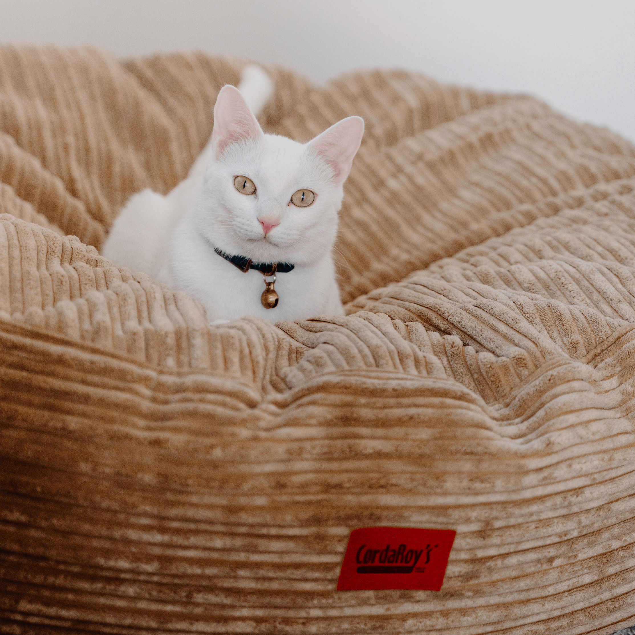30 Inch Forever Dog Bed (Waterproof) - Terry Corduroy