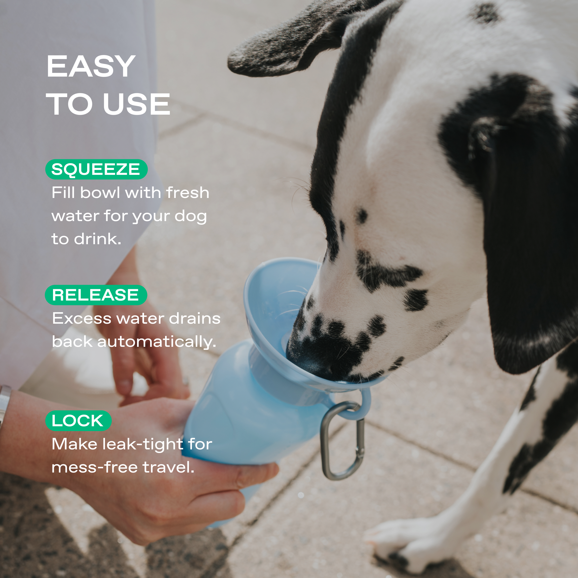 22oz Original Dog Travel Water Bottle