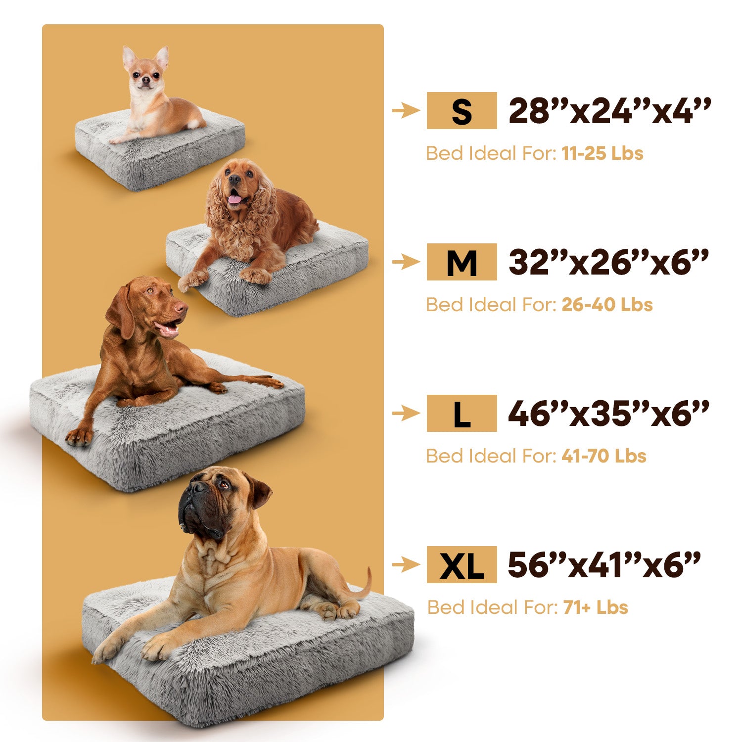 Rectangle Bed