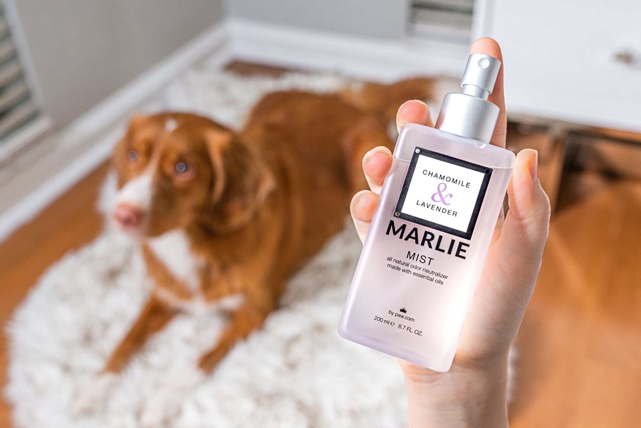 Marlie Mist Pet Odor Eliminator Spray with Essential Oils — premium pet product for German Shepherds and large dogs