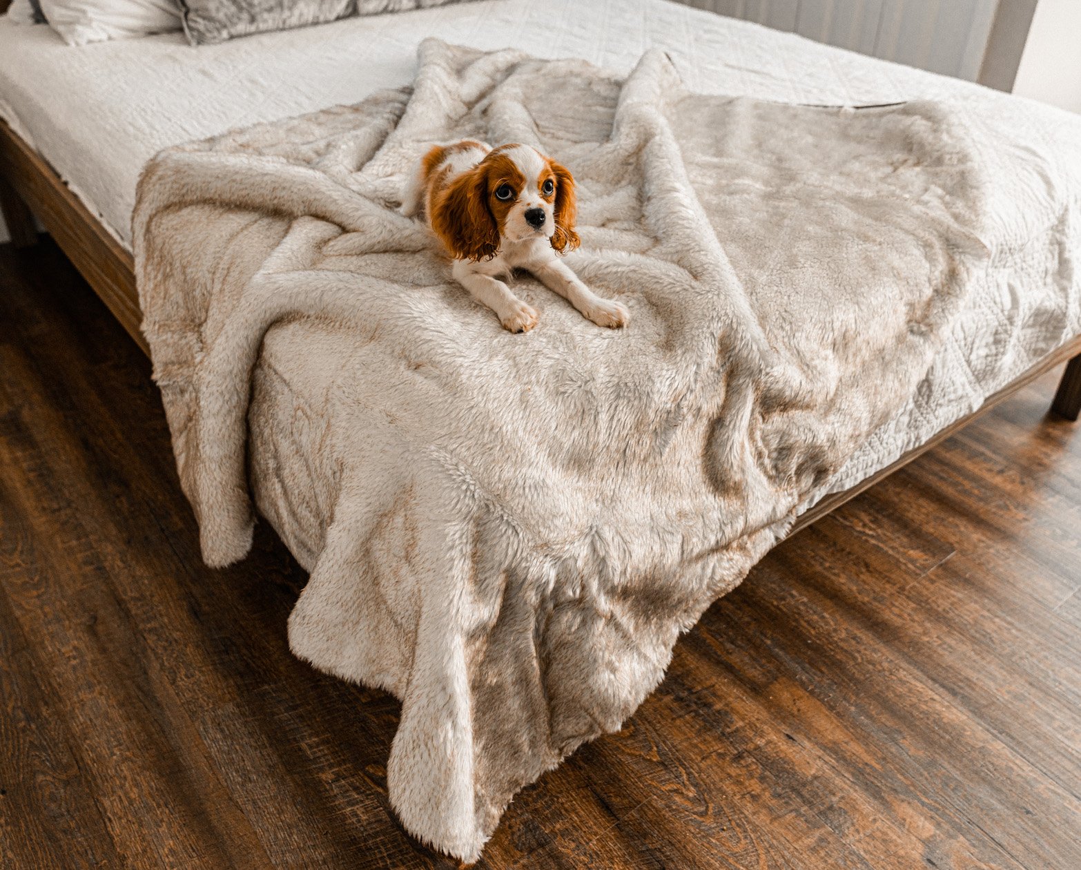 PupProtector™ Short Fur Waterproof Throw Blanket - White with — waterproof dog blanket for German Shepherds