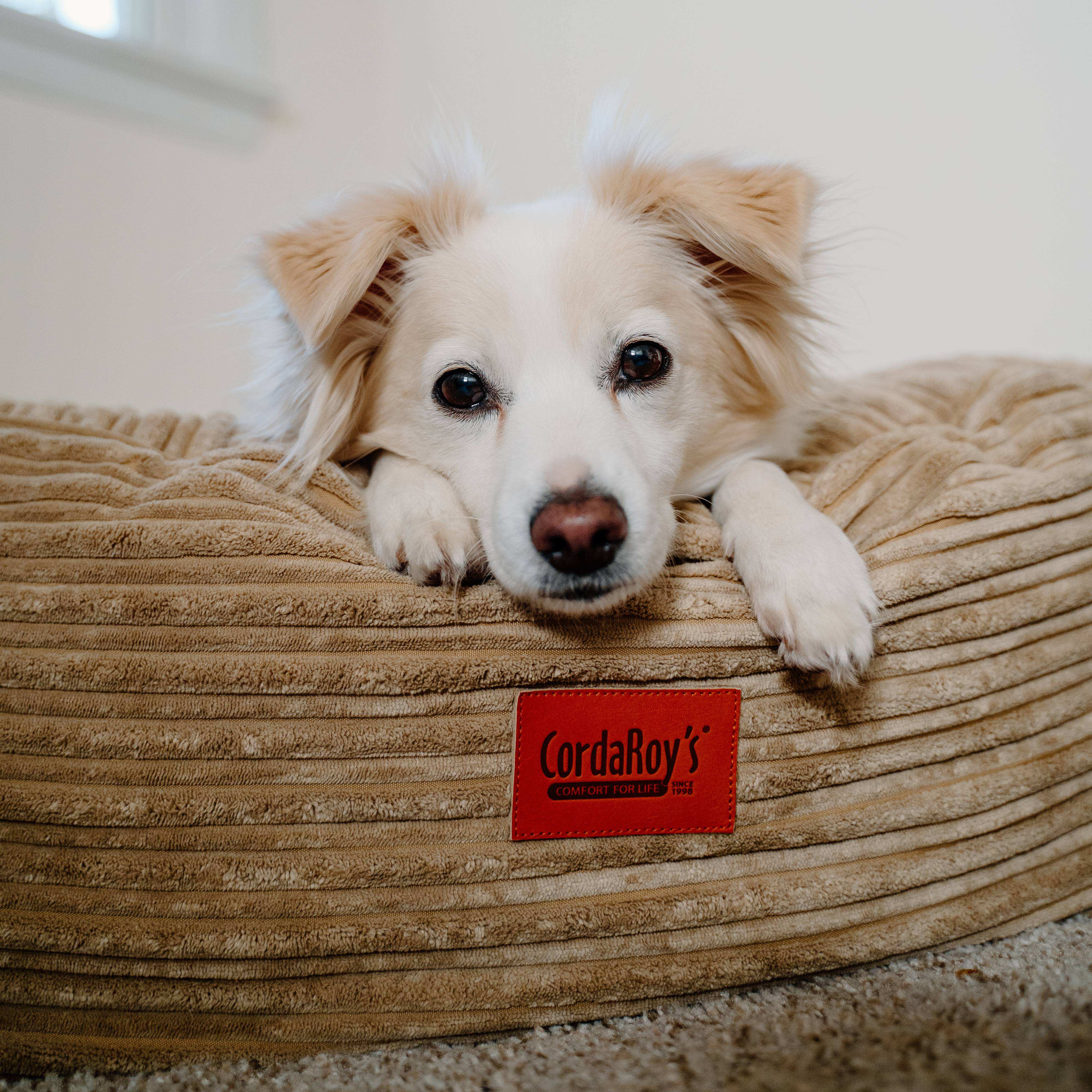 40 Inch Forever Dog Bed (Waterproof) - Terry Corduroy