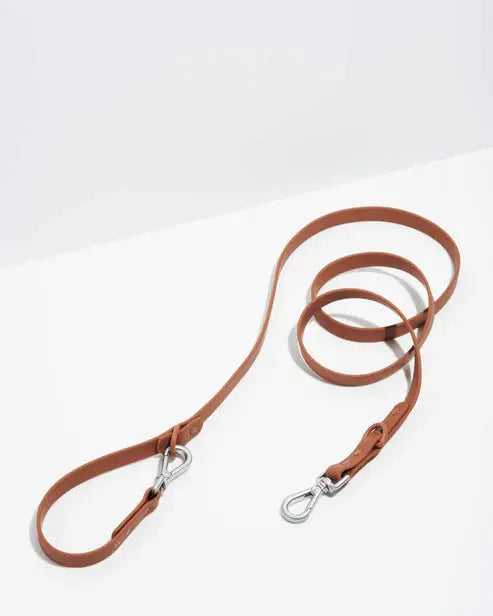 Dog Leash Waterproof Flex Poly Coated Nylon