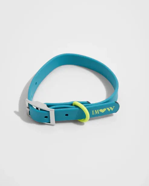 Dog Collar Adjustable Flex Poly Coated Nylon