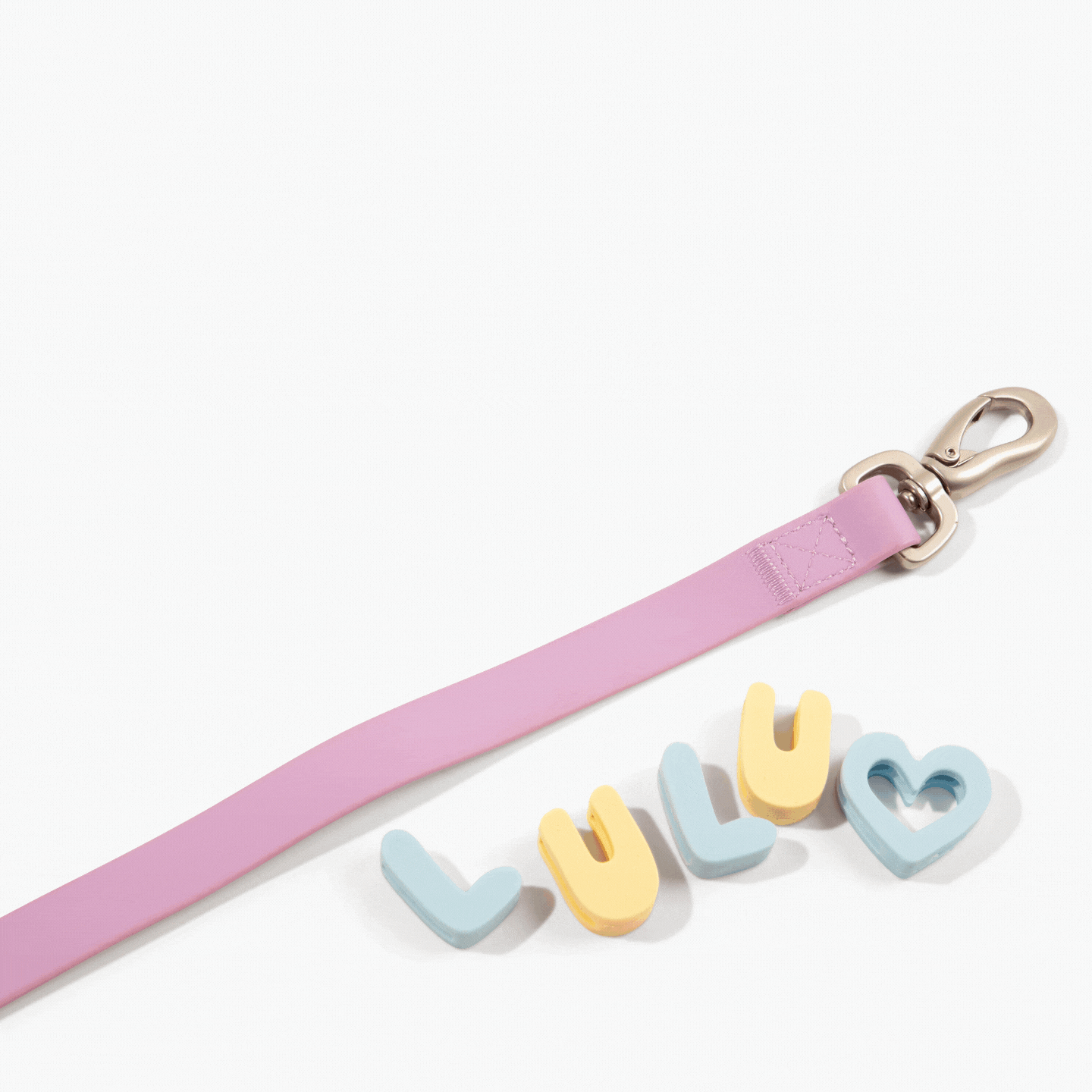 Hands-Free Dog Walking Bag