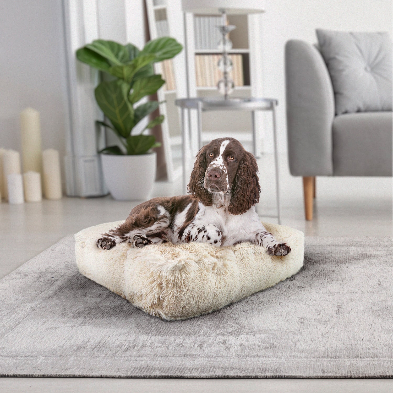 Pillow Insert - Rectangle Bed Bessie and Barnie only