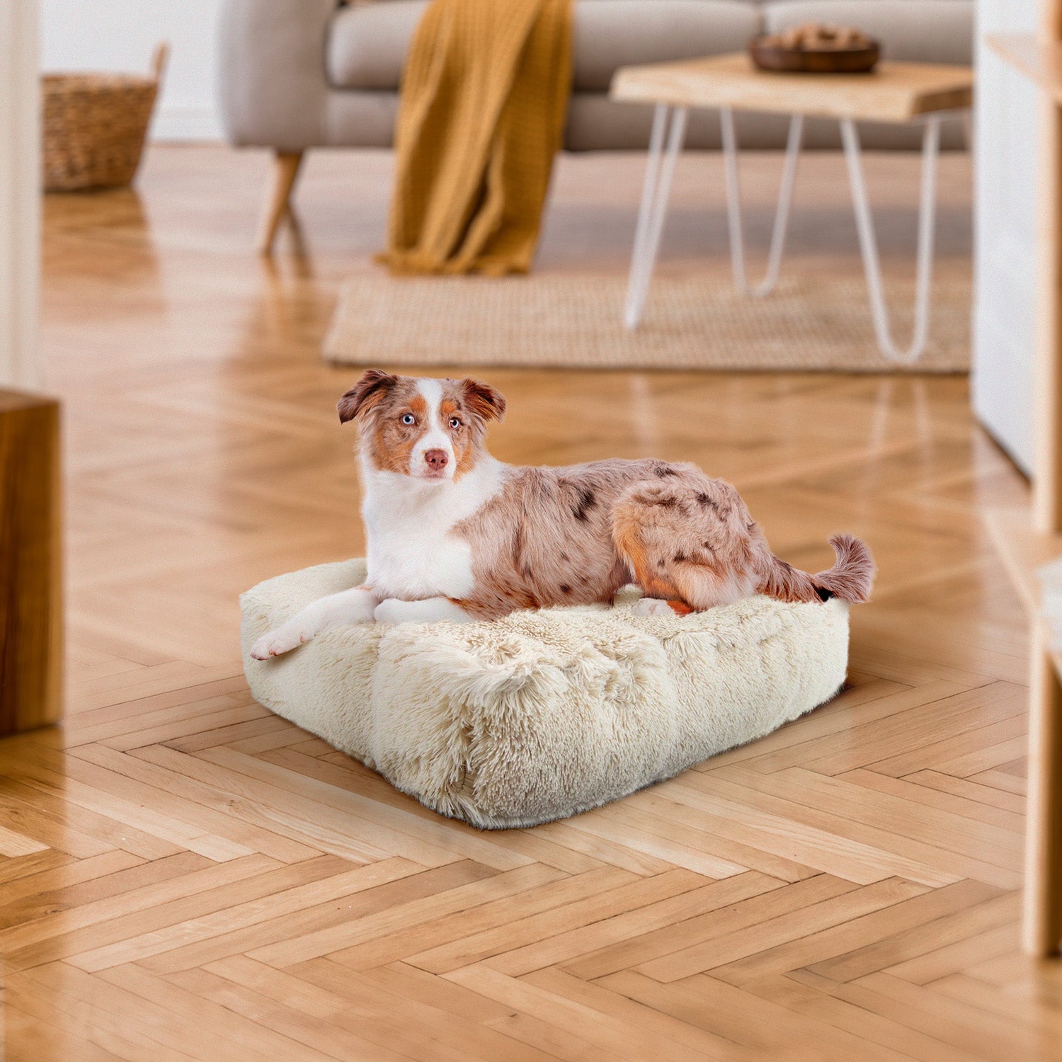 Rectangle Bed