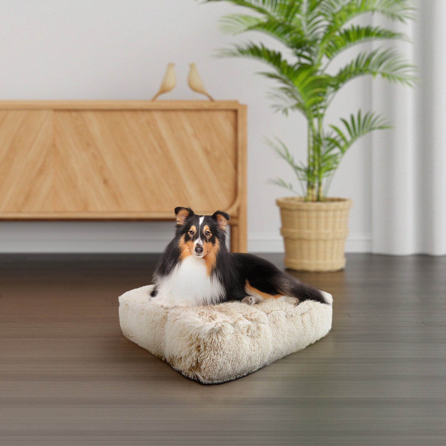 Rectangle Bed