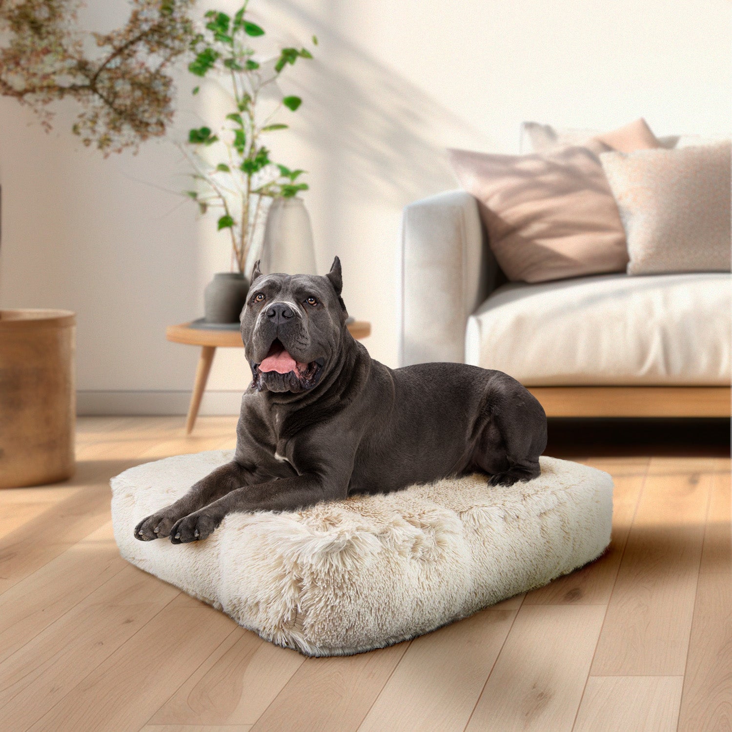 Rectangle Bed