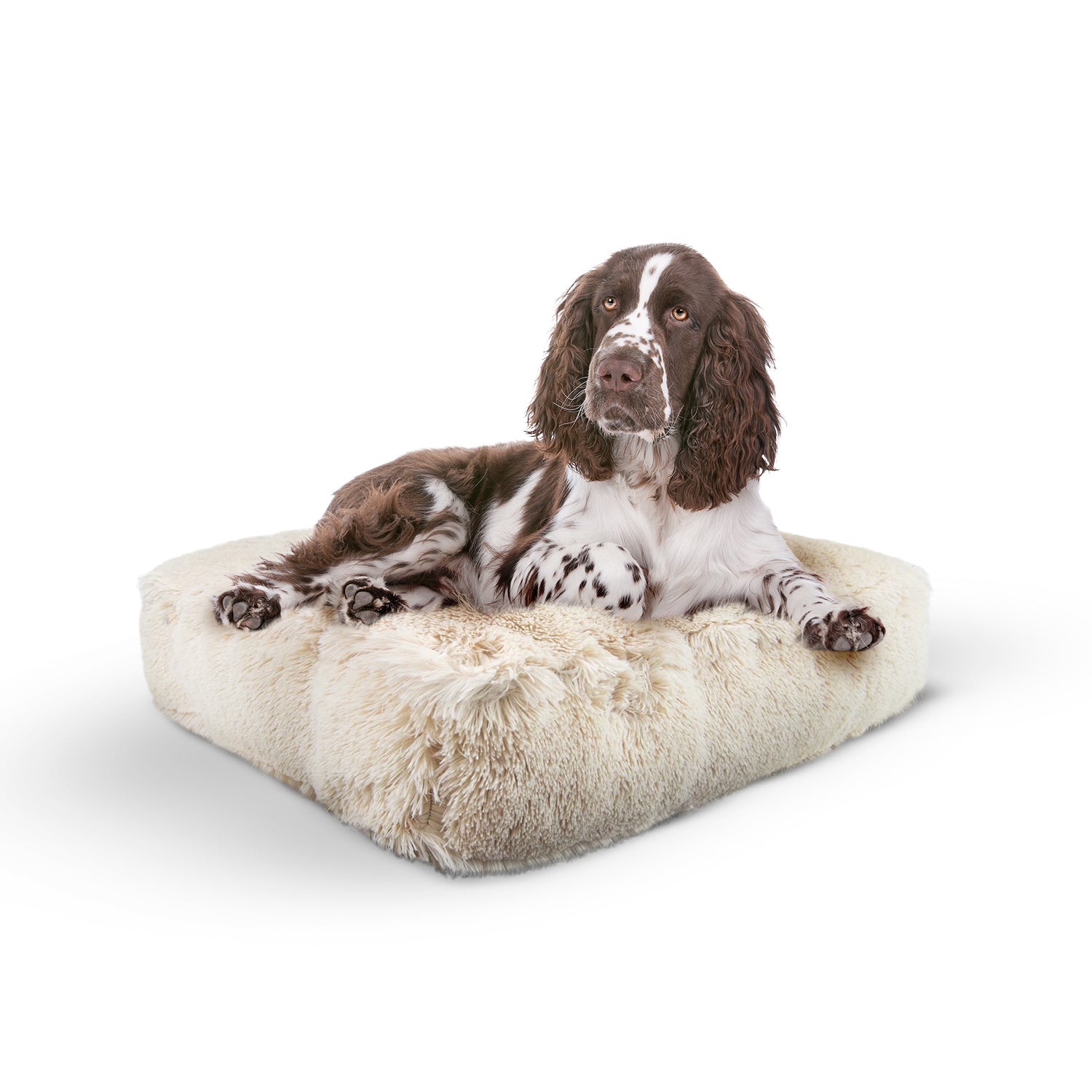 Rectangle Bed