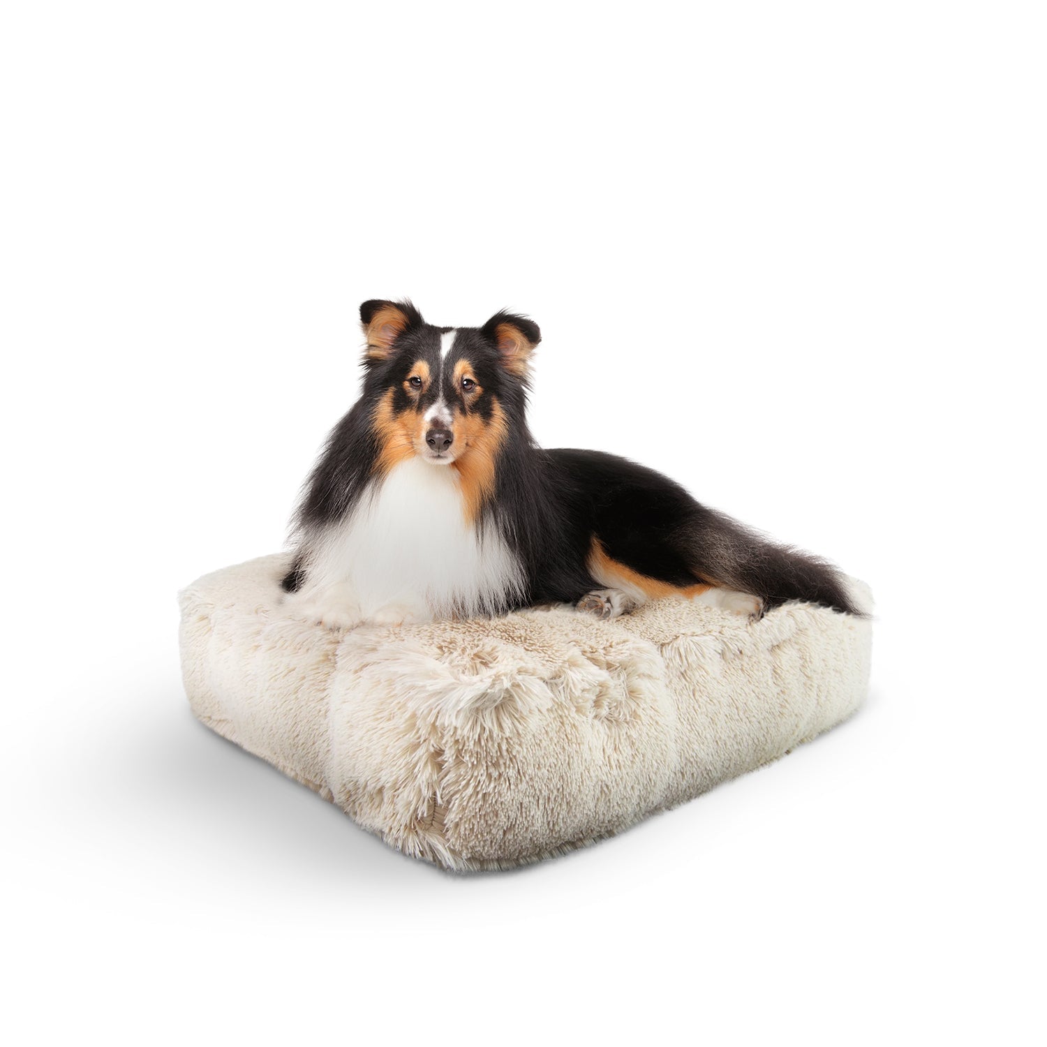 Rectangle Bed