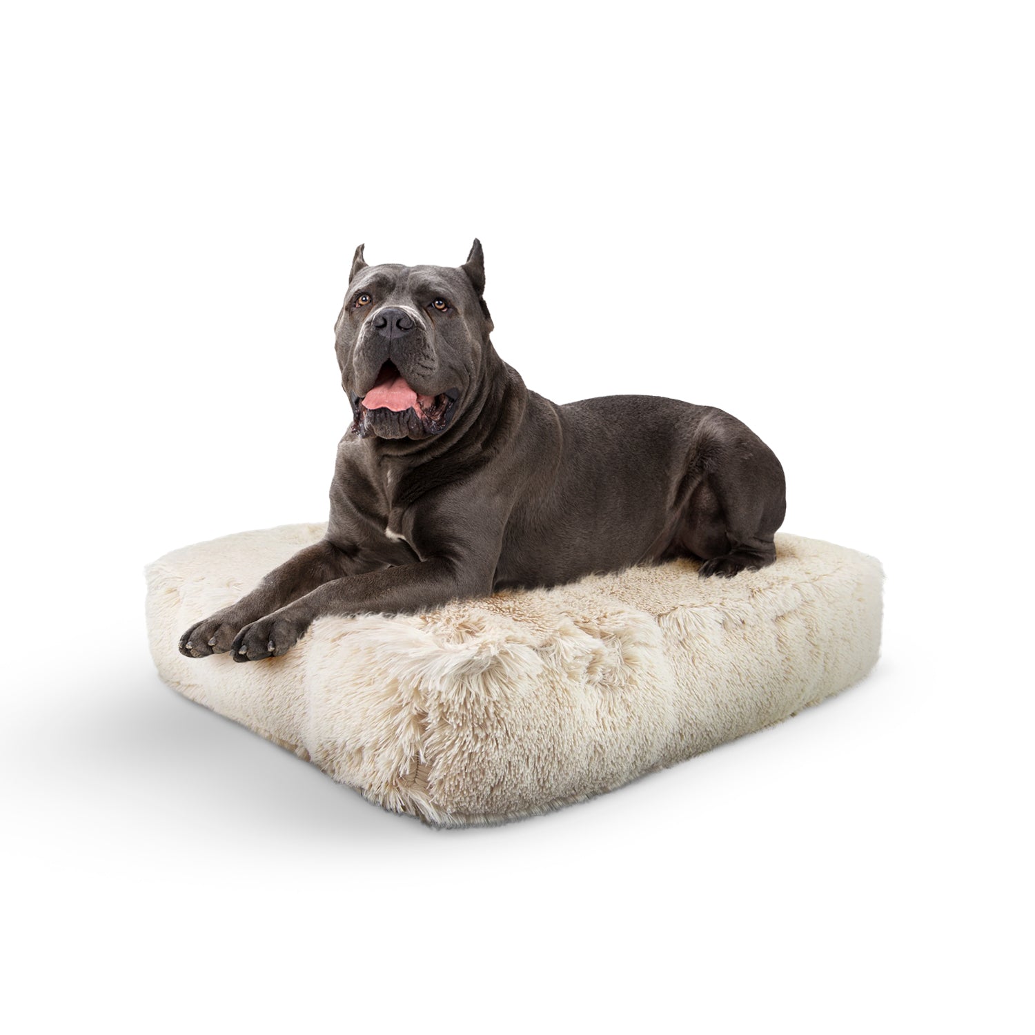 Rectangle Bed