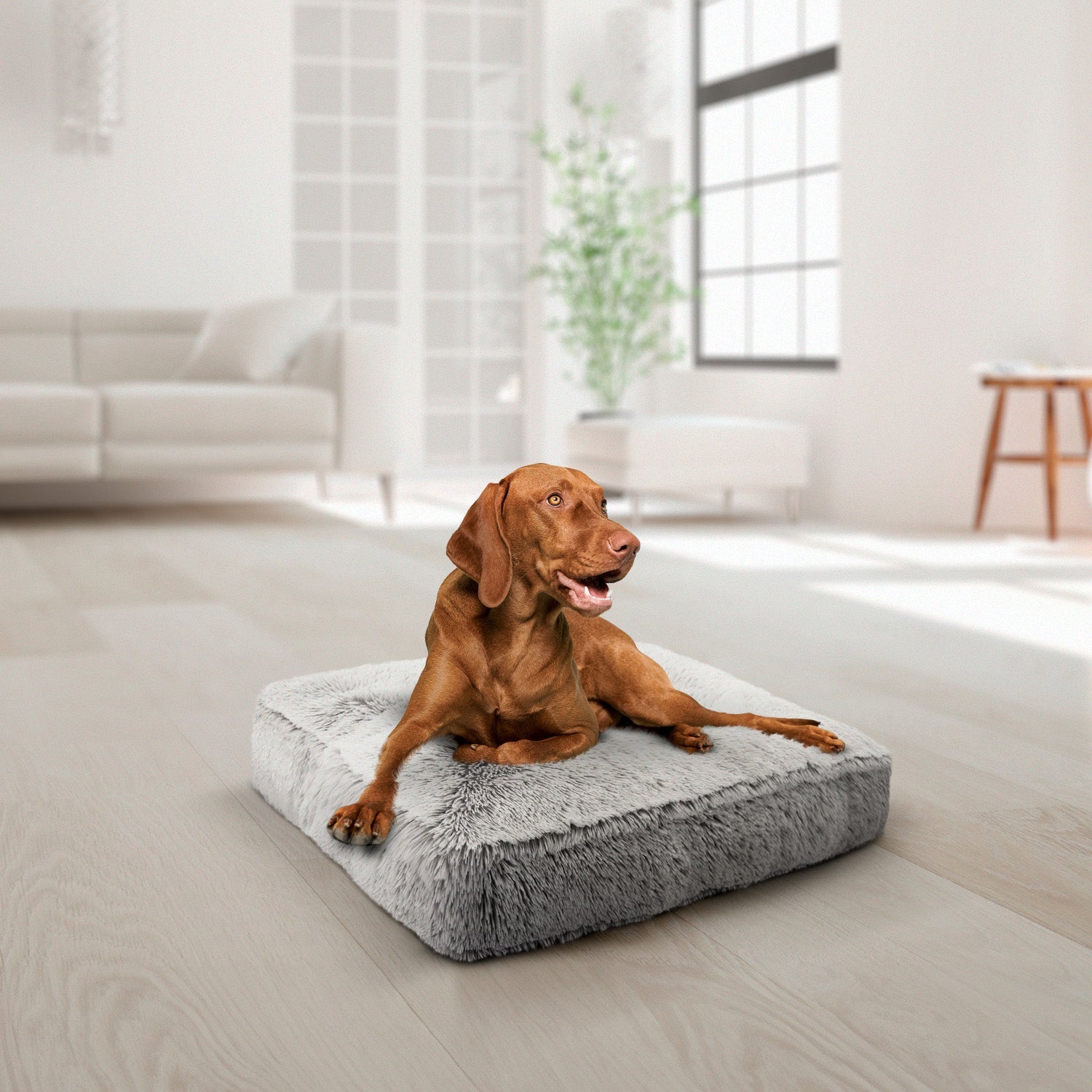 Rectangle Bed