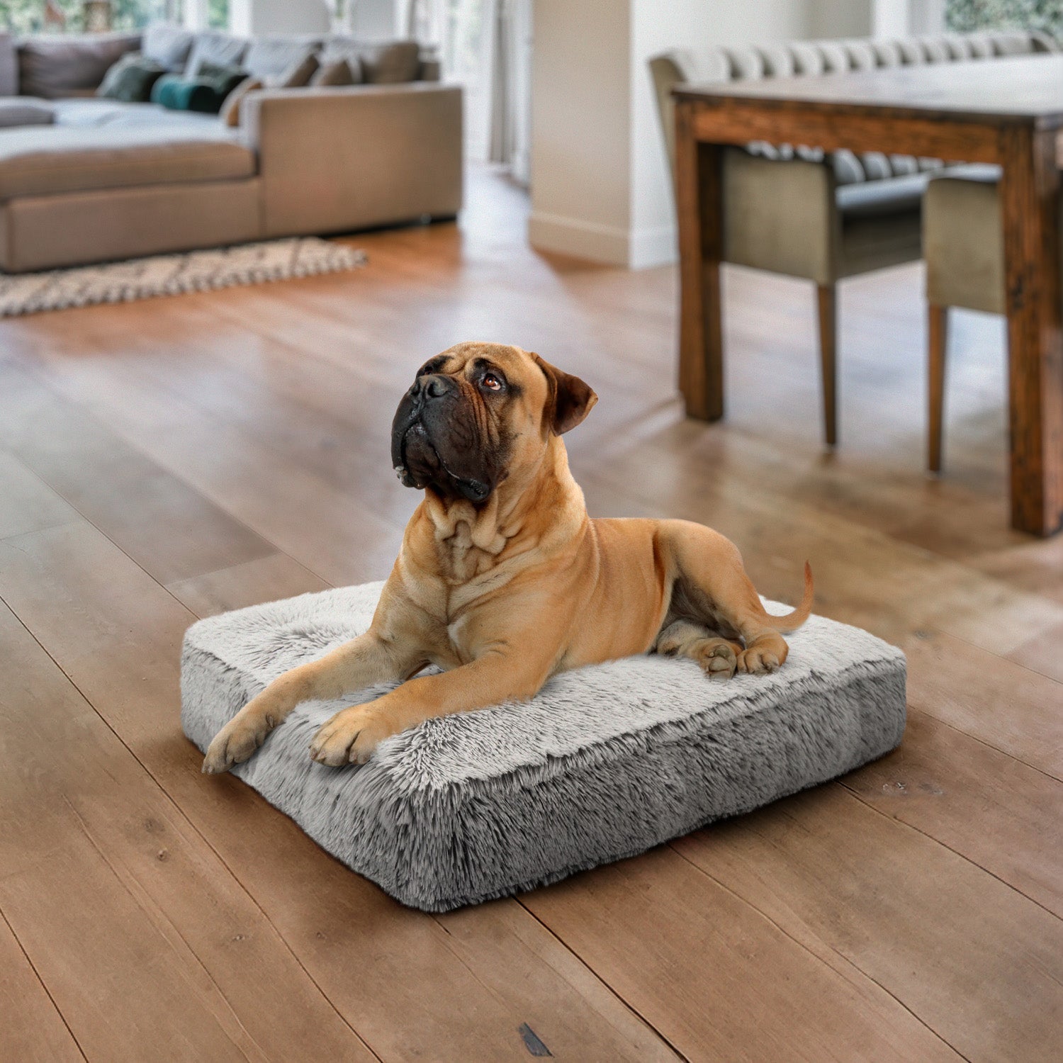 Rectangle Bed
