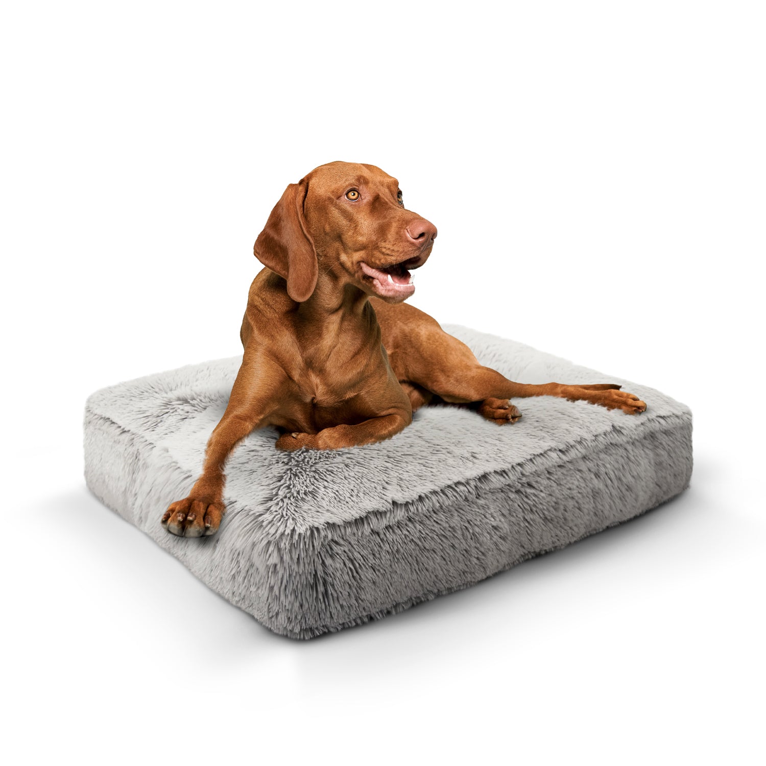 Rectangle Bed