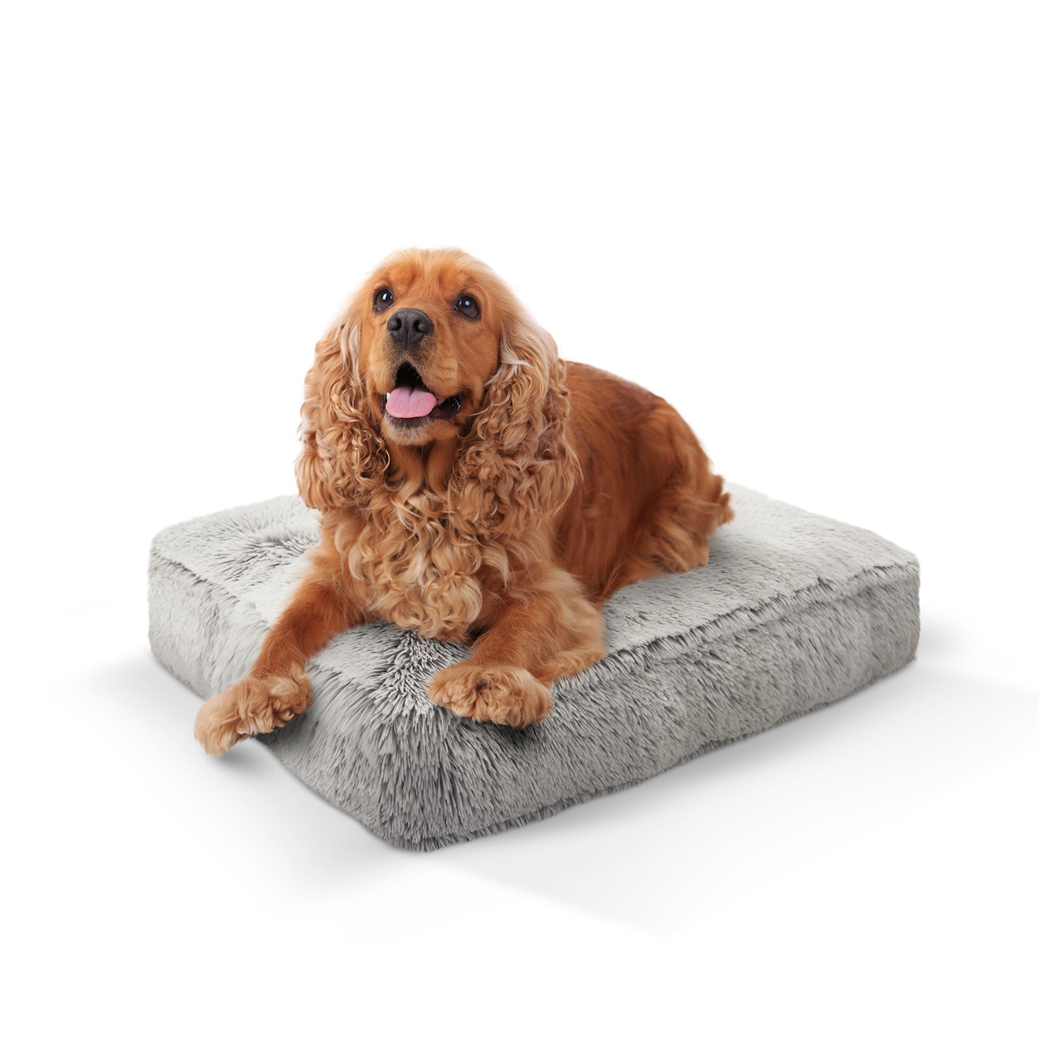 Rectangle Bed