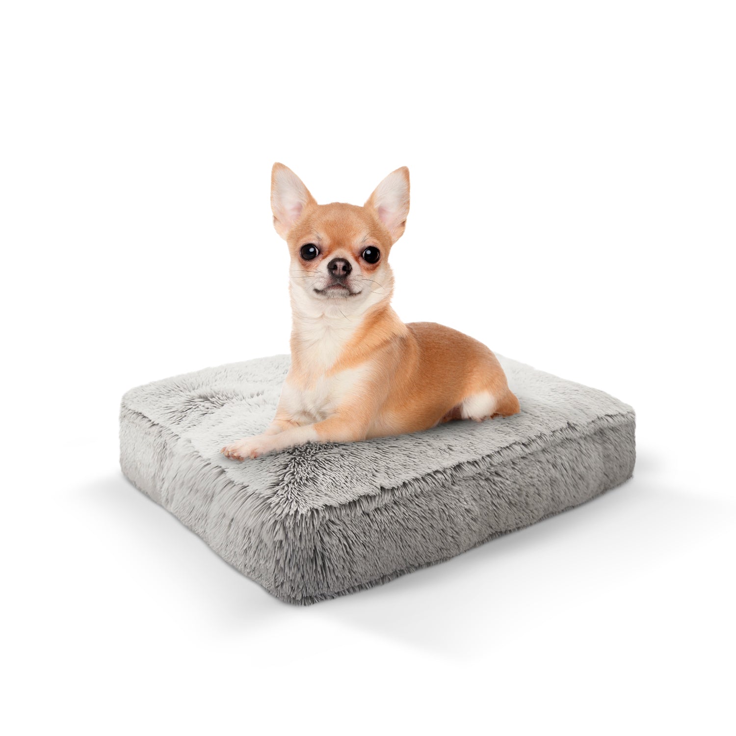 Rectangle Bed