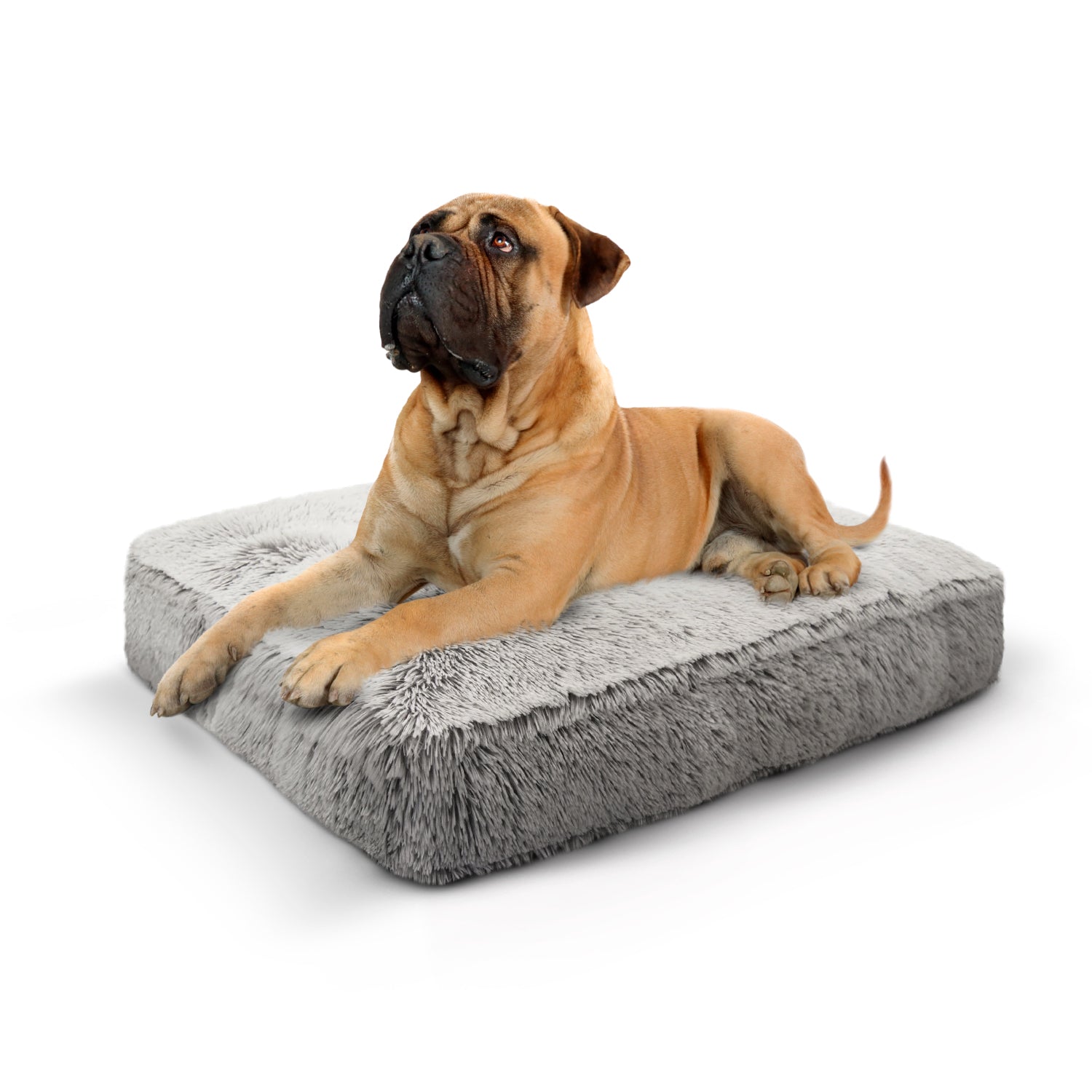 Rectangle Bed