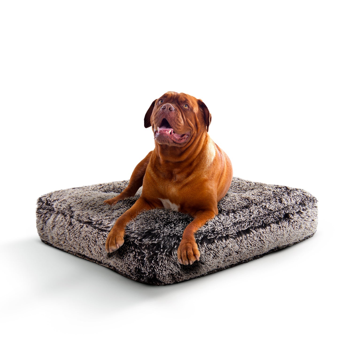 Rectangle Bed