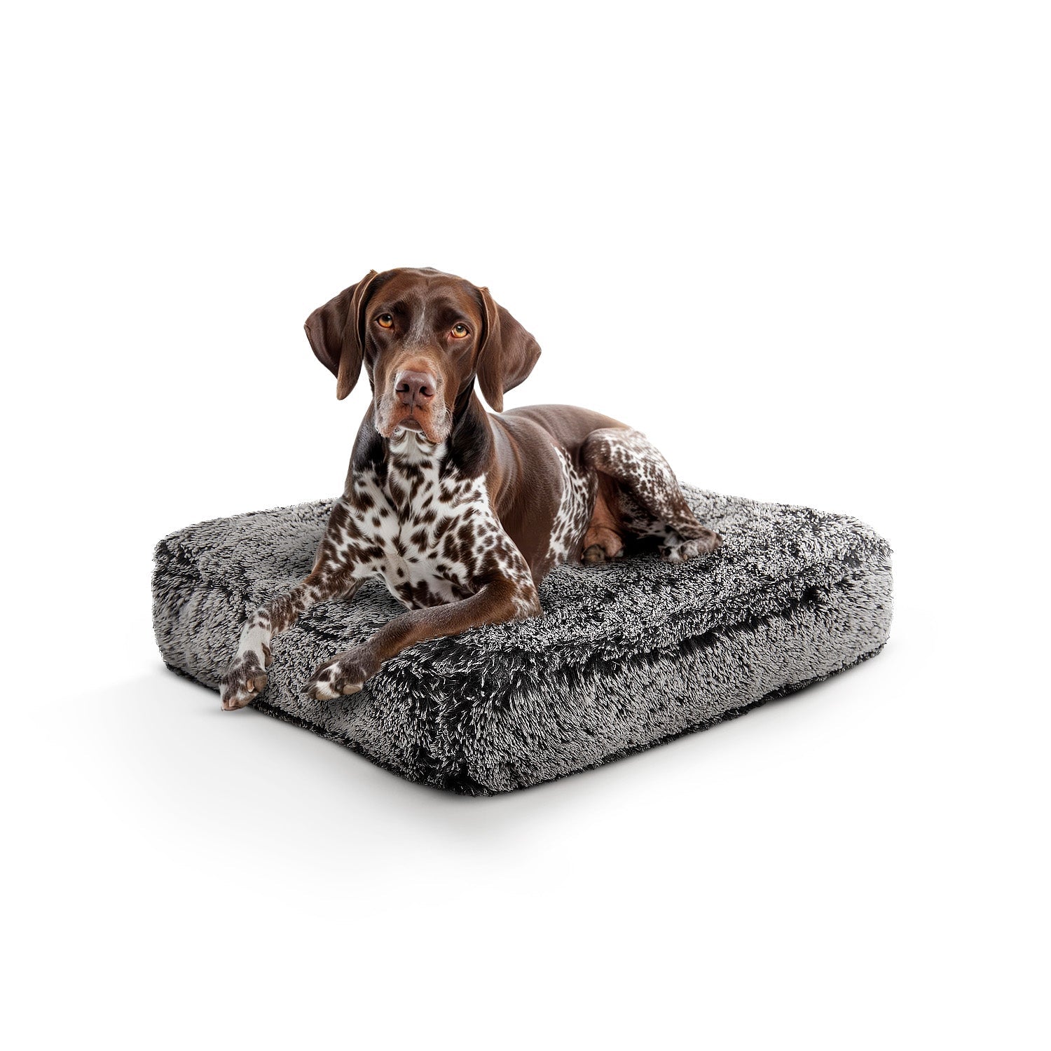 Rectangle Bed