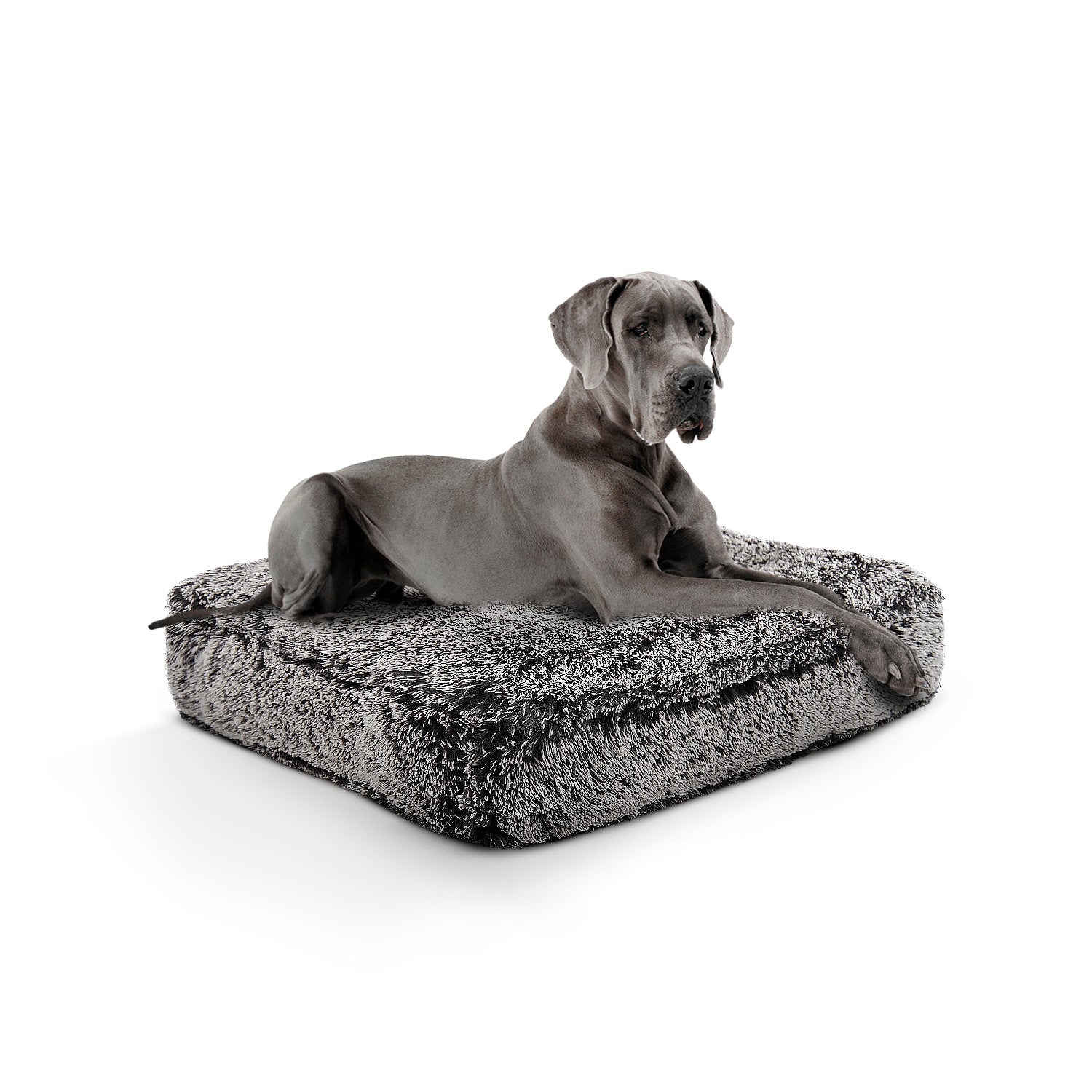 Rectangle Bed