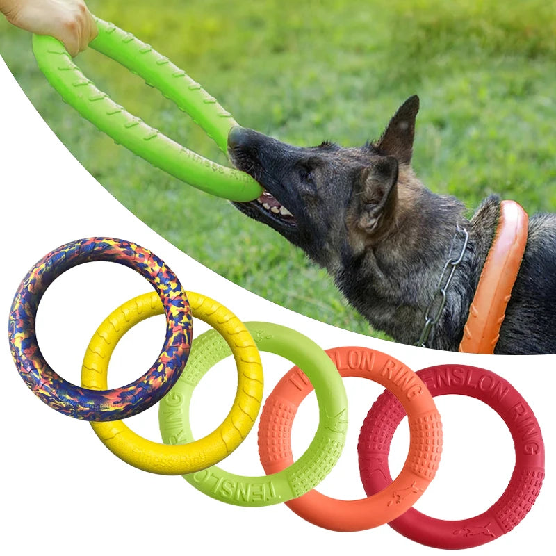 Alfie GSD