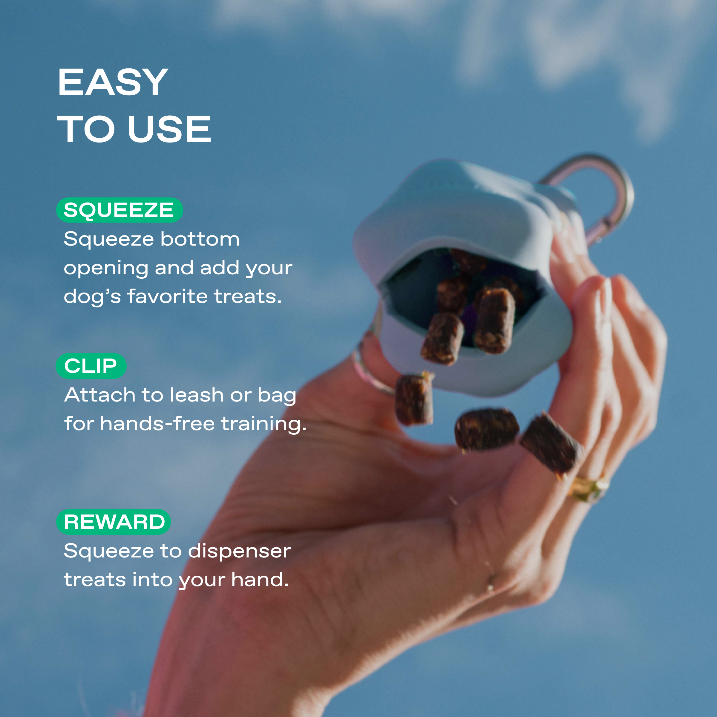 Silicone Dog Treat Dispenser