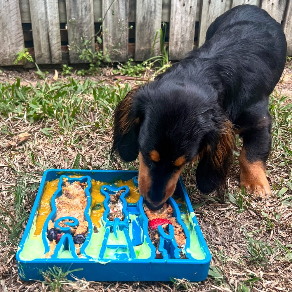 Waiting Dogs eTray - Shallow Slow Feeder Bowl for Enrichment | USA Made