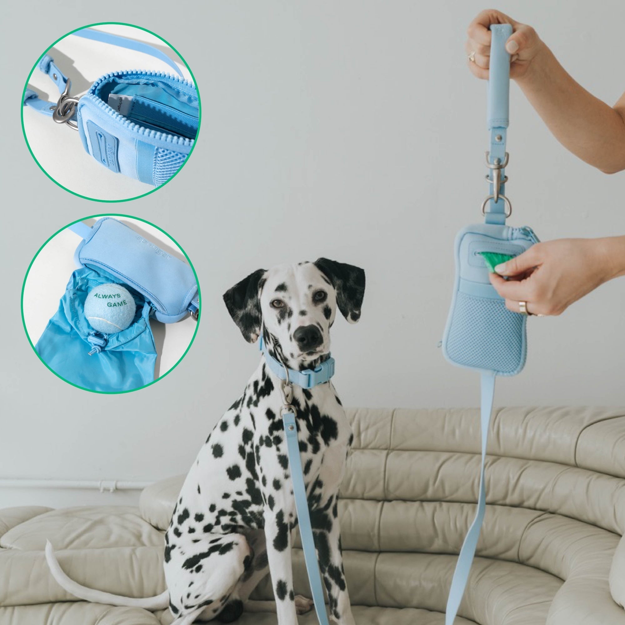 Original Neoprene Dog Walk Bag with Leash