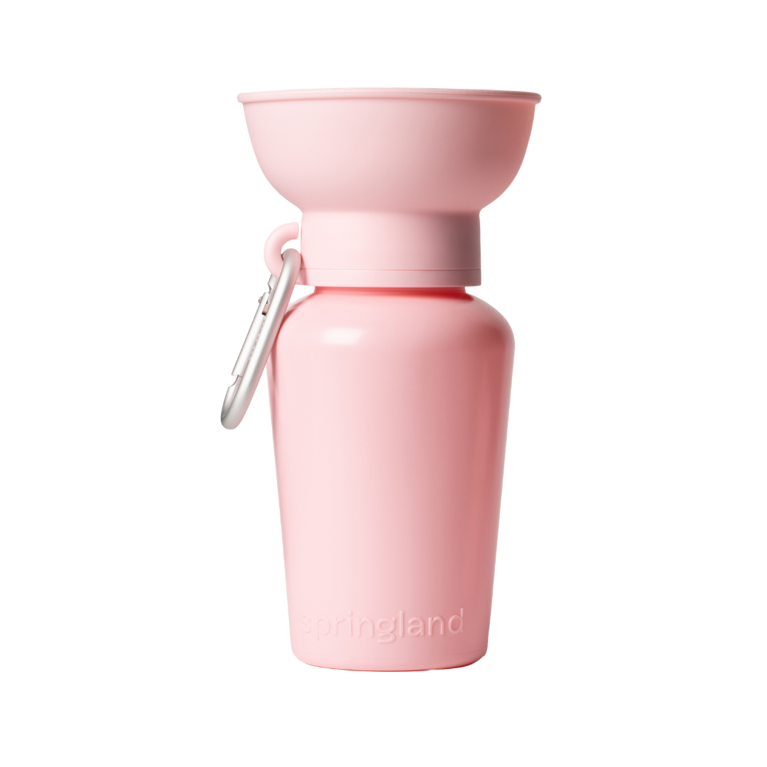 20oz Flip Dog Travel Water Bottle