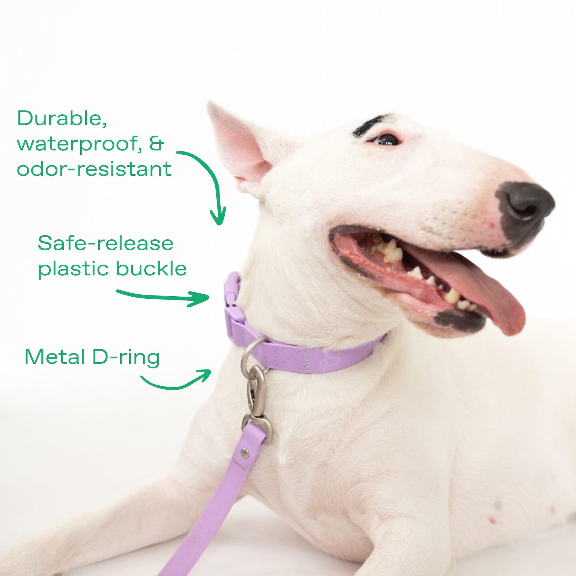 Original Waterproof Dog Collar